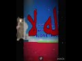 باميه بايته باميه بايته IRAQI 1 اوتاكو للابد باميه بايته باميه بايته IRAQI 1 اوتاكو للابد