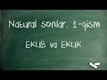 Natural sonlar. 1-qism. EKUB va EKUK