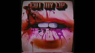 Twenty One Pilots - Cut My Lip (Havoc Remix)