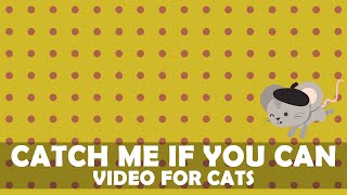 Catching Mice Video Game for Cats - CAT GAMES - CATS PLAYGROUND