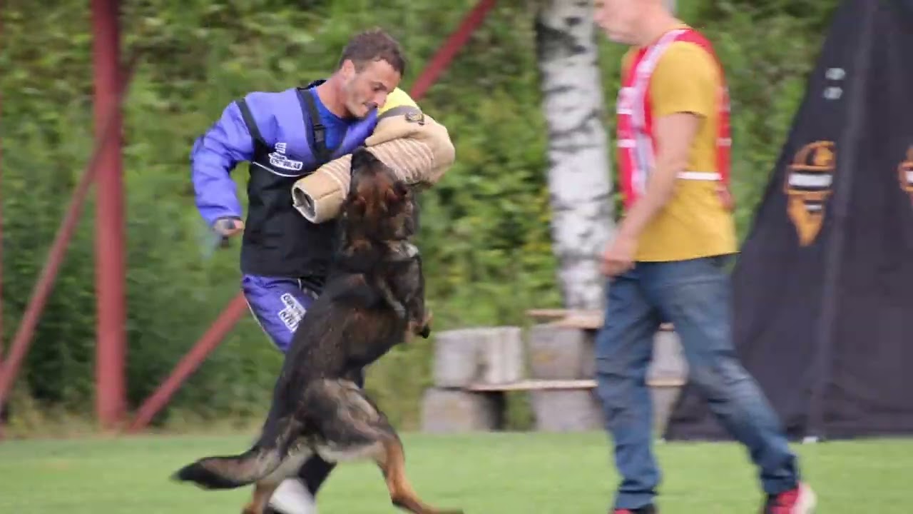 FCI NM IGP 2023 Vegard Sund C