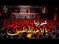 محمد رضا خامه چیان مسبب جنونمی شب اول محرم 1404 دیوانگان حسین کاشان 