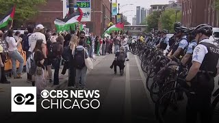 Pro-Palestinian protesters vow to regroup after CPD tears down DePaul encampment