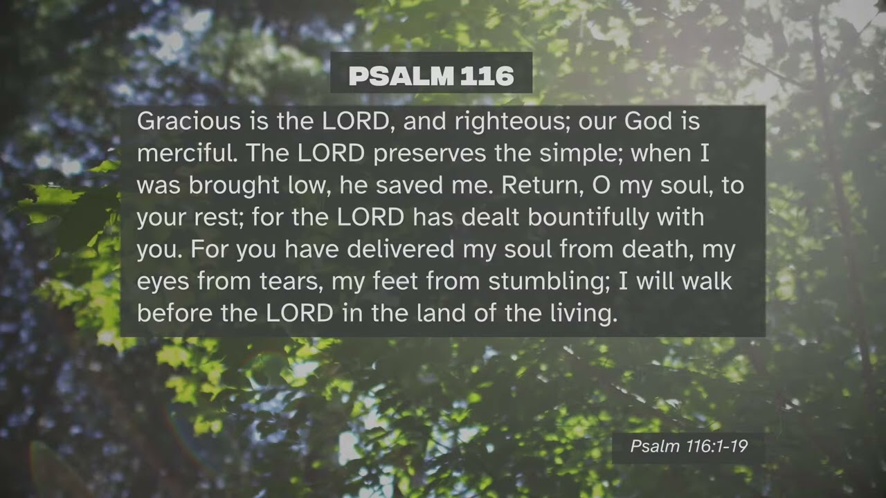 Summer Of Psalms Psalm 116 Sermon Cut YouTube Summer Of Psalms Psalm 116 Sermon Cut YouTube