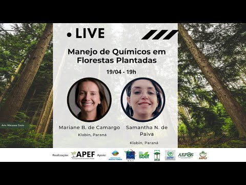 Vídeo: Pragas florestais: uma lista com fotos, formas de lidar