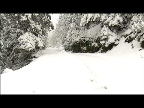 გადაუღებლად თოვს ამ დრომდე აჭარის მაღალმთიან სოფლებში