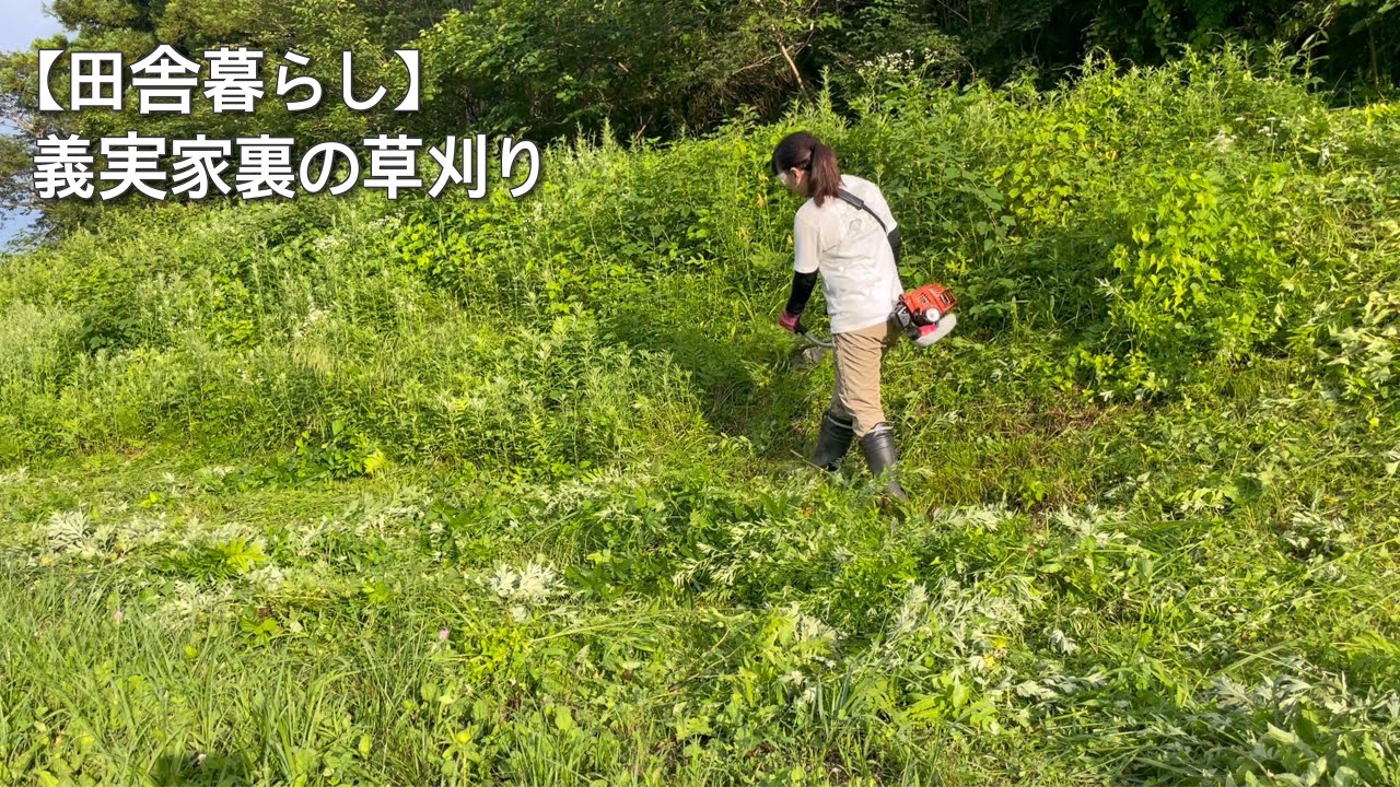 【田舎暮らし】義実家裏の草刈り