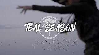 Duck Hunting - OPENING DAY of Teal Season TEAL EVERYWHERE