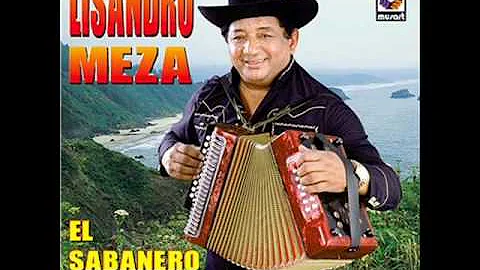 que se vaya el amor  Lisandro Meza