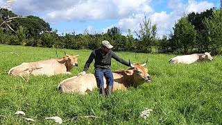 Gestion de nos prairies. Pâturage Tournant Dynamique, Autonomie en azote = légumineuses, Entretien..