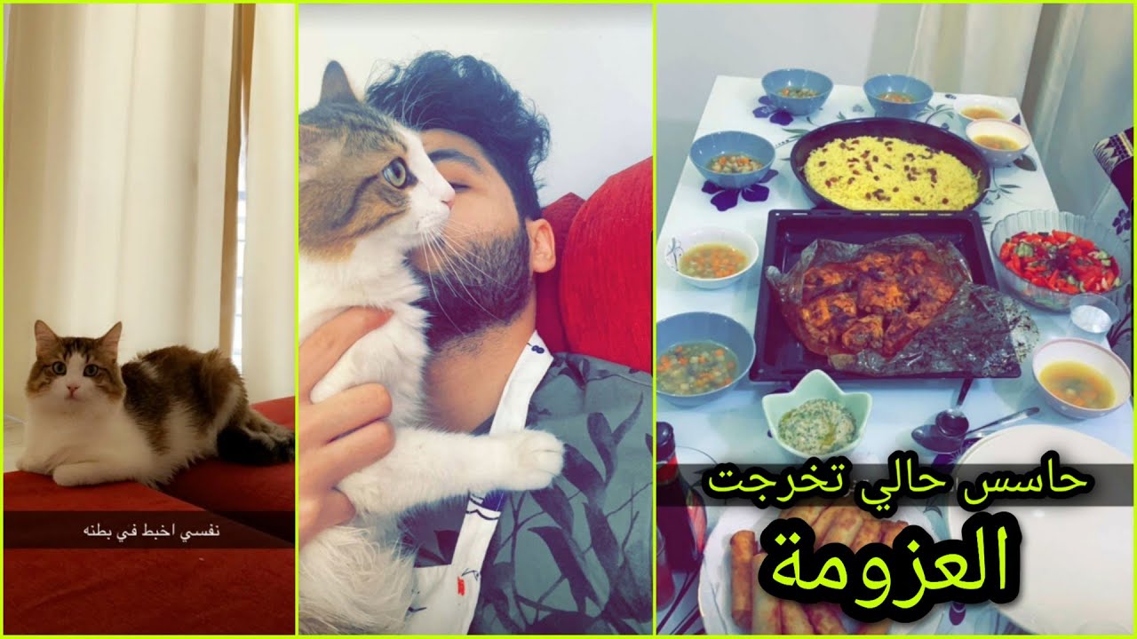 عزمنا جاراتنا وانعزمنا عند  نسايب صقر - الحناوي