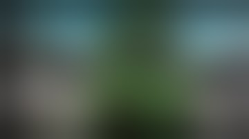 Invisible fe roblox script