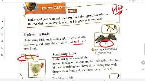 Grade 4 EVS: Chapter 11 Teeth, Beaks And Feet (Part2)