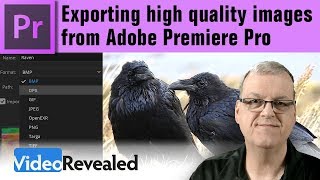 Экспорт изображений высокого качества из Premiere Pro