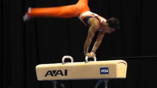 C.J Maestas - Pommel Horse - 2012 Visa Championships -Sr. Men - Day 1