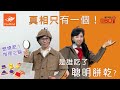 『高雄龐奇桌遊』 聰明餅乾 25周年紀念版 Smart Cookies 附中文說明書 6歲以上 正版桌上遊戲專賣店 product youtube thumbnail