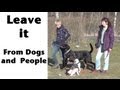 'Leave it' from dogs and people 'Leave it' from dogs and people