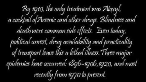 Trypanosome Streaming Video.wmv