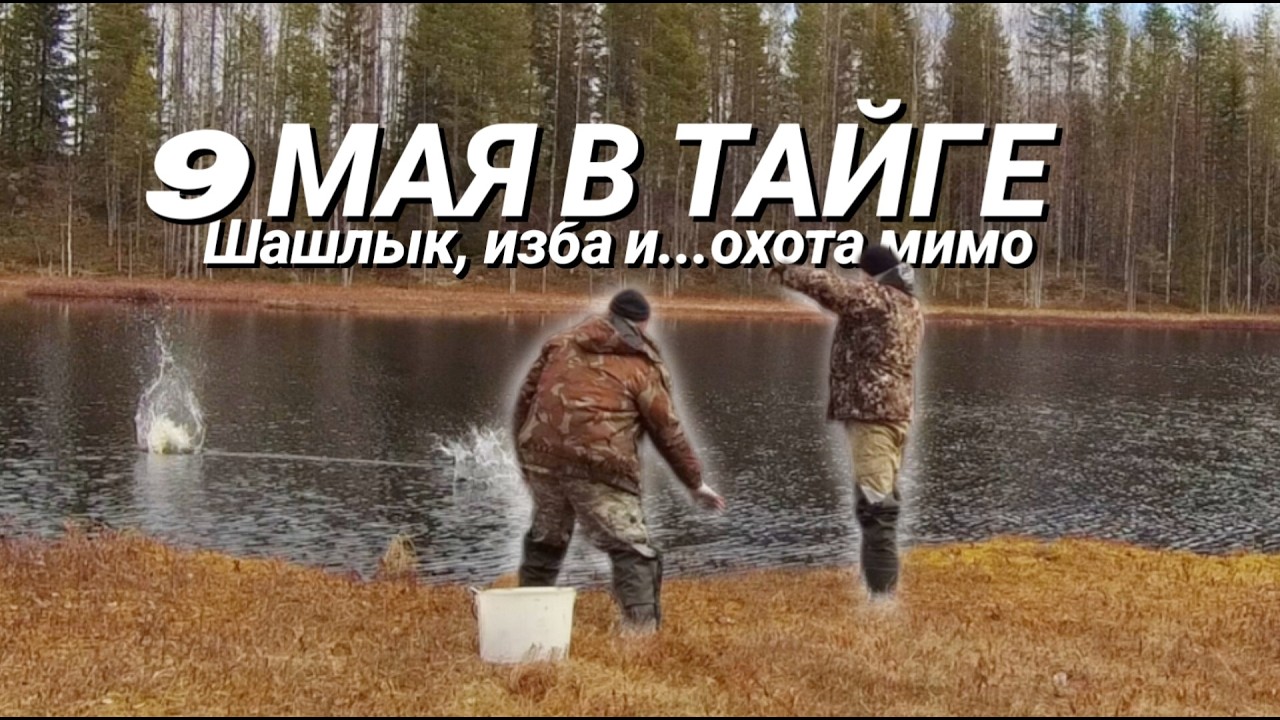 Как мы встретили 9 Мая в избе: Шашлык, Тайга и попытка охоты