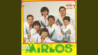 Video thumbnail of "Los Mirlos - Profesora"