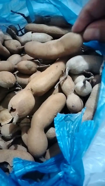 Kalangakang🥰🥰🥰 #shorts #sampalok