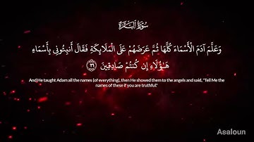 القارئ الشيخ مصباح ساني #السعودية #الجزائر #المغرب #مصر #السودان #اليمن #عمان