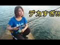 デカすぎ!ルアーで大型が連発した1日!