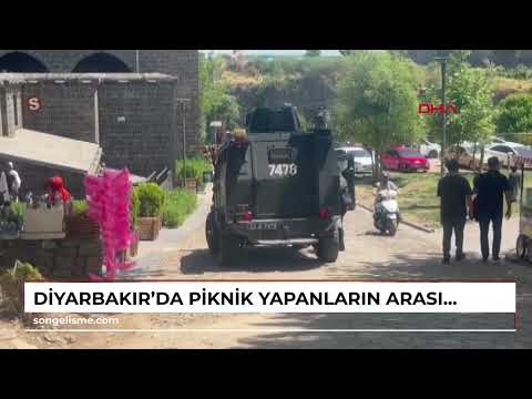 Diyarbakır’da piknik yapanların arasına at daldı: 1’i çocuk, 2 yaralı