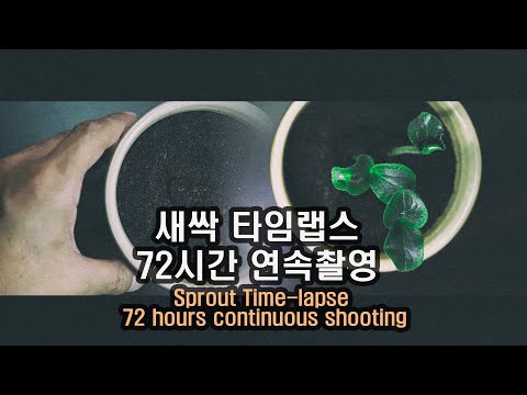 [Time Lapse] 새싹 <strong>타임</strong> <strong>랩스</strong> 72 시간 연속 촬영 Sprout Time-lapse 72 hours continuous shooting