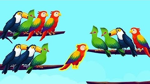 Color Bird Sort Puzzle | Gameplay Video | Gaming Studio #gaming #puzzlegames #gamingstudio #games