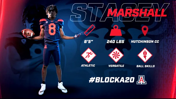Stacey Marshall Highlights
