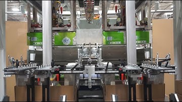 TL 20 Top Load Case Packer, Case Erector & Case Sealer - Boxes of Facial Tissue - BW Integrated Sys.