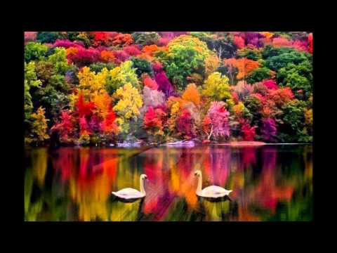 هدى حداد يا فراشة