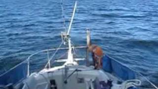 Homemade Windvane WM-Design, singlehanded Spinnaker sailing