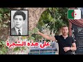 قصة الشهـ يد الجزائري الفنان علي معاشي ذكرى استقلال الجزائر 
