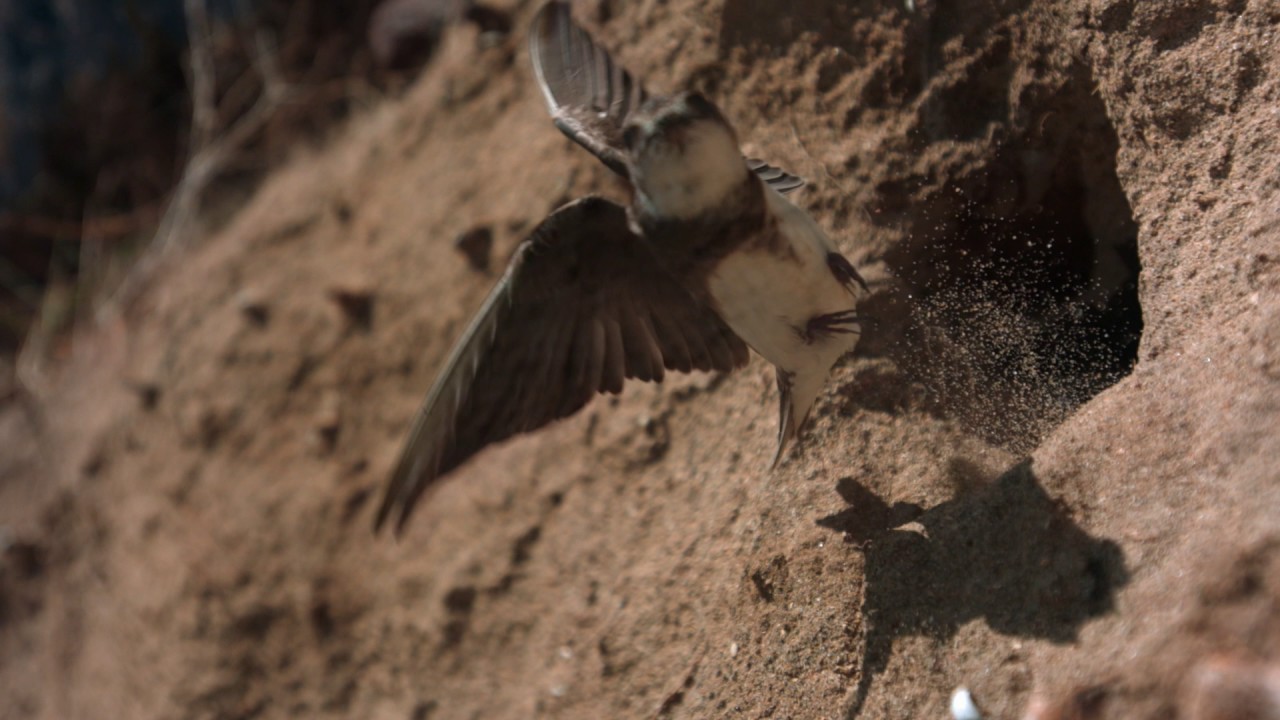 Paradise Beach in Donegal