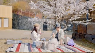 Went out for a walk / picnic with our Cat and a Dog | The day cherry blossoms fell like snow by KiSH-Log 키쉬의 브이로그 21,021 views 10 months ago 1 minute, 57 seconds
