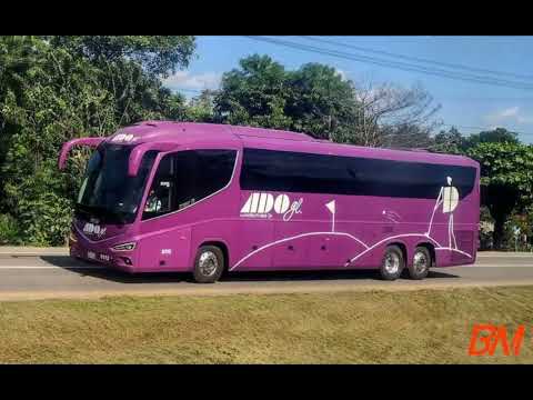 El tema será de la empresa ADO (fundada en 1939 y reconocido como el primer transporte de México).