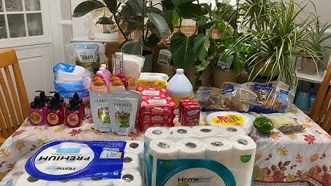  VLOGVEMBER DAY 17: PICKED UP OUR FAVORITE THINGS AND INVITED A NEW FAMILY MEMBER TO LIVE WITH US!☺️