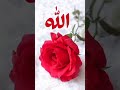 #AllahHiAlh#islamic short video #islamic #youtube #youtubeshort #viral #love #gozol #islamic Story Mp3 Song