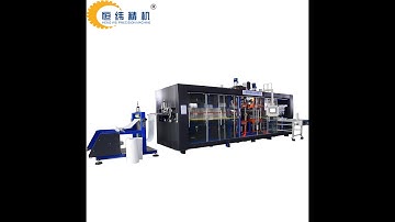 pp food container thermoforming machine