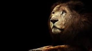 Ночь льва . Классный фильм. National Geographic, Документальный фильм 05.01.2017 Ночь льва . Классный фильм. National Geographic, Документальный фильм 05.01.2017