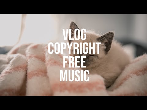 Ujabes - 샴 (siamese) [Vlog No Copyright Music]