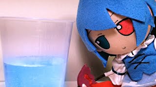 Kogasa thinks the glass is half full...