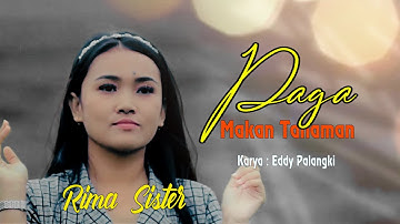Lagu Minang - Paga Makan Tanaman - Rima Sister (Official Music Video)