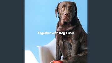 Breathtaking Smooth Jazz - Vibe for Melodic Agenda