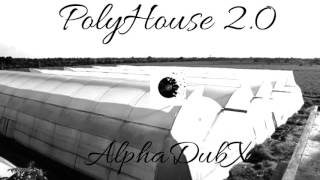 PolyHouse 2.0 (AlphaDubX)