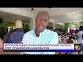 Westmoreland Ganja Farmers Make Critical Step Towards Regularisation | TVJ News