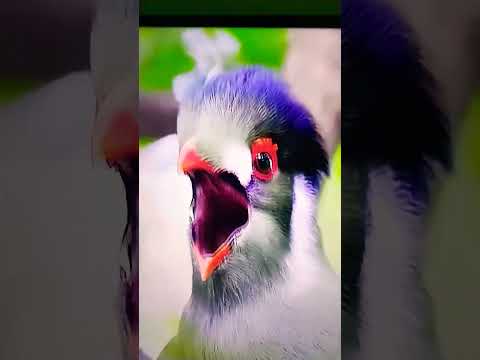 سيظهر النص والصور الذي تقوم بنسخها هنا تلقائيا