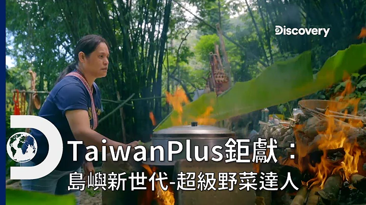 世界級的野菜特級廚師就在台灣，把山林的恩惠帶往世界《TaiwanPlus鉅獻：島嶼新世代》 讓世界看見台灣創意沒有極限 - 天天要聞